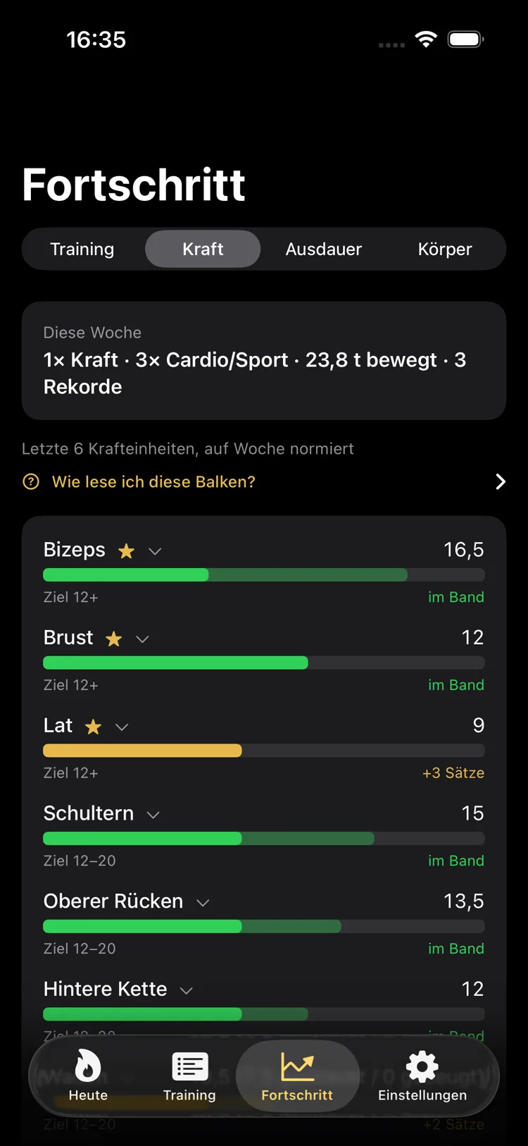 BrockGym: Wochenvolumen je Muskelgruppe mit Zielband