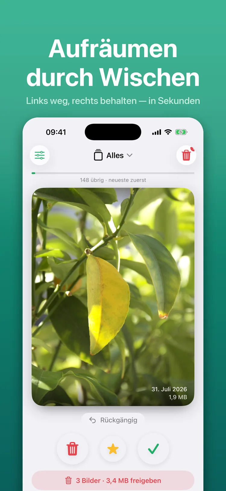 Swiperoll on iPhone: a photo fills the card, with the buttons for sorting out and keeping below it